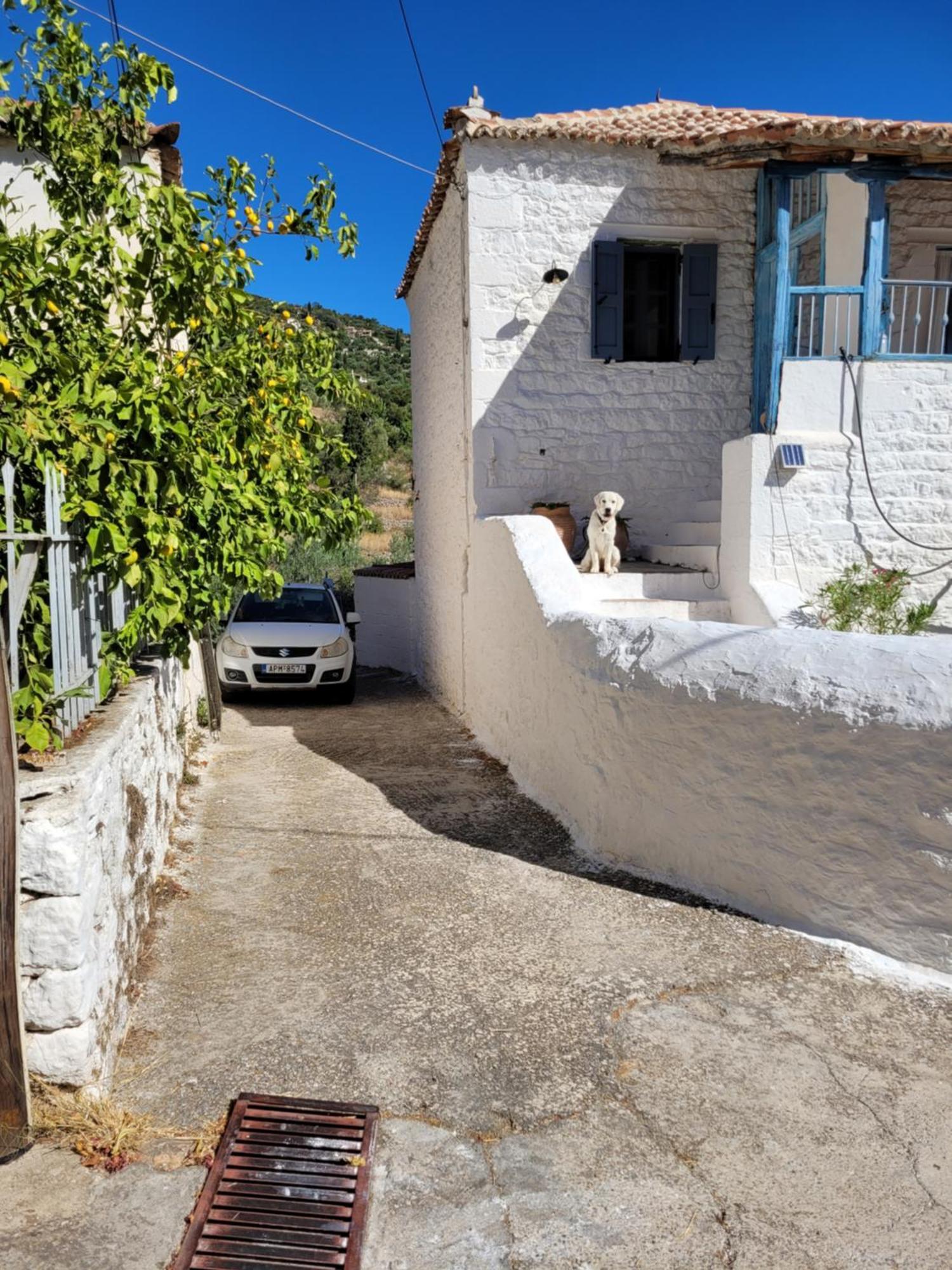 Lovely Traditionnal House With Sea View Tirós 외부 사진