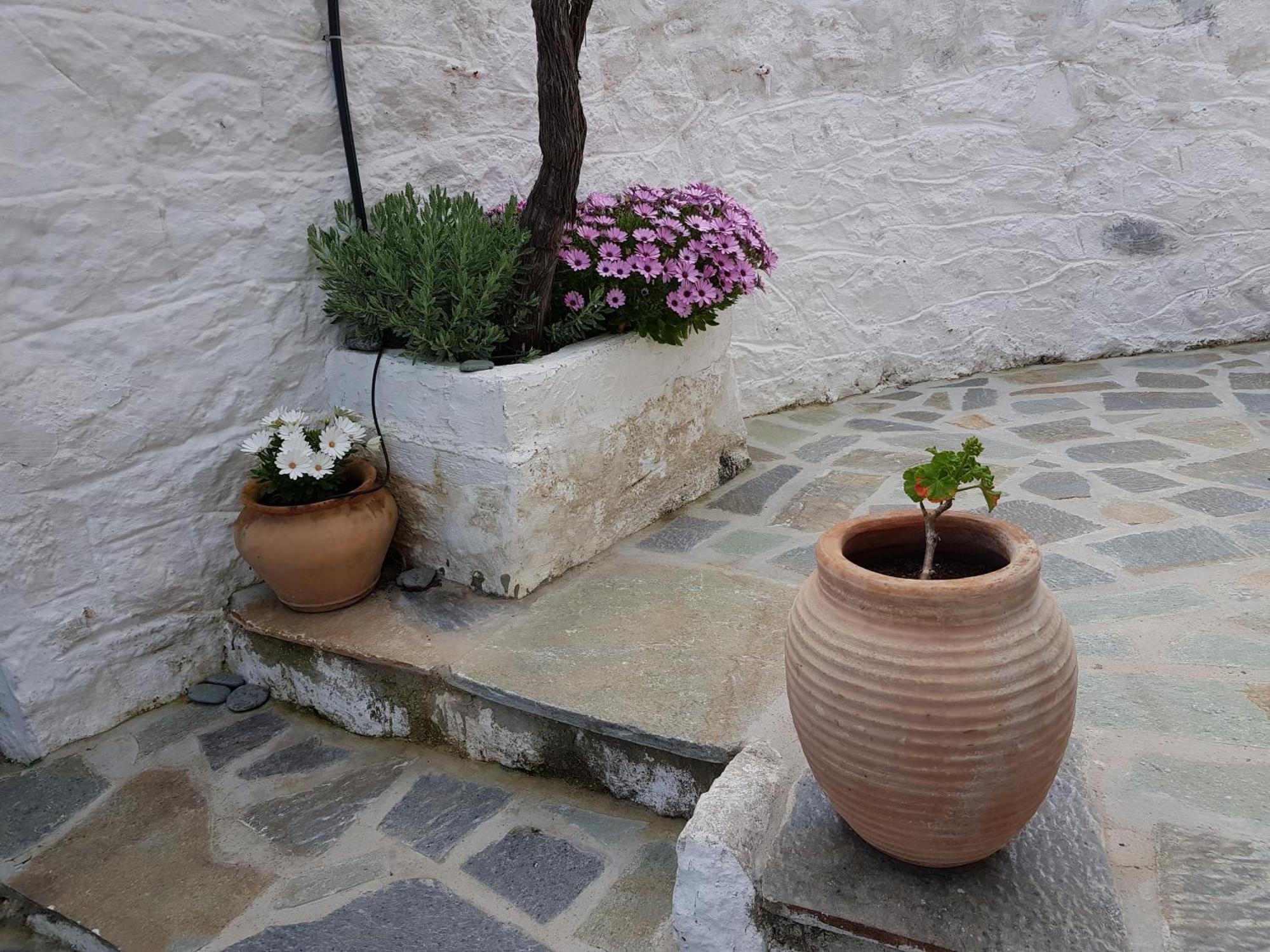 Lovely Traditionnal House With Sea View Tirós 외부 사진